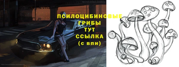 синтетический гашиш Алексеевка