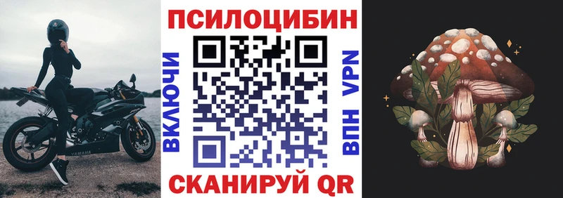 Галлюциногенные грибы GOLDEN TEACHER где продают Невьянск